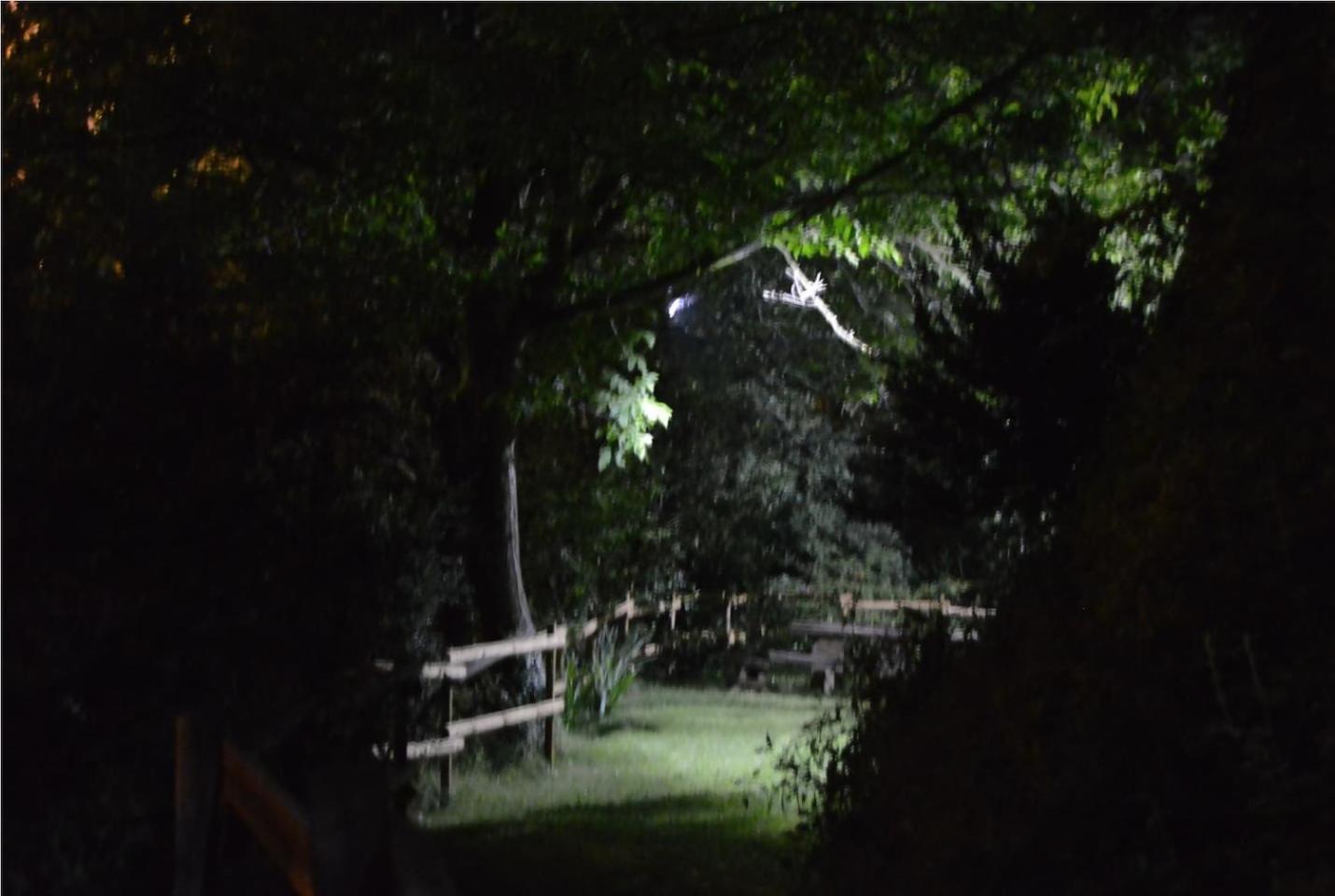 La Vinaza Ordesa Ainsa Casa Rural Laspuña エクステリア 写真